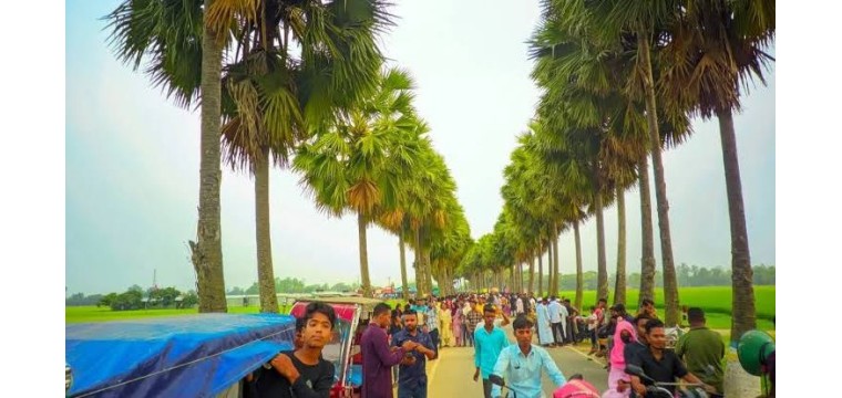 নওগাঁর ঘুঘুডাঙ্গা তাল সড়কে দর্শনার্থীদের ভিড়
