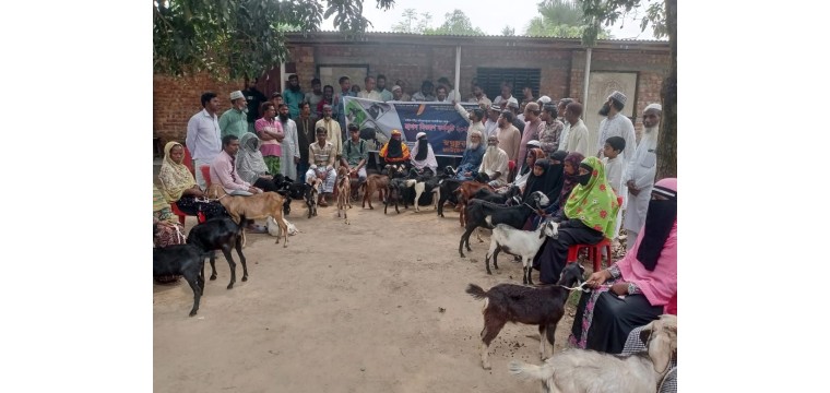 মান্দায় স্বপ্নচুড়া ফাউন্ডেশনের উদ্যোগে ছাগল বিতরণ