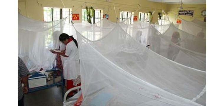 ডেঙ্গুতে কেউ মারা যায়নি, হাসপাতালে ভর্তি ৩৩