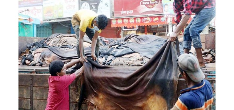 কোরবানির পশুর চামড়ার নতুন দাম নির্ধারণ
