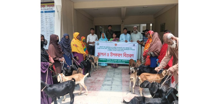 চাঁপাইনবাবগঞ্জে অসহায় সুঃস্থদের মাঝে ছাগল ও উপকরণ বিতরণ