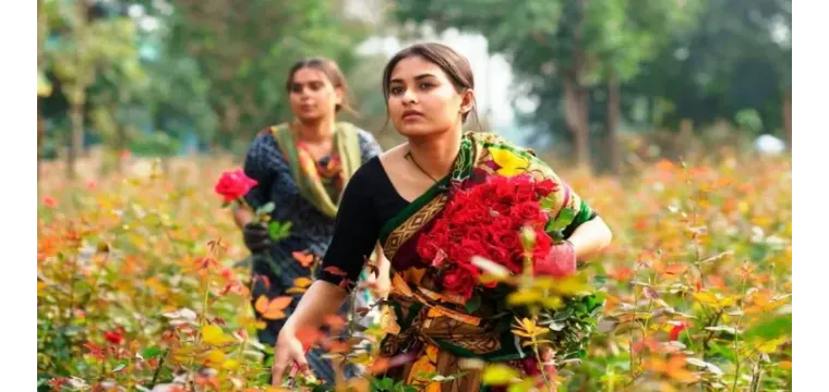 গোলাপ বাগানে ফুল তোলার চাকরি নিলেন তটিনী!