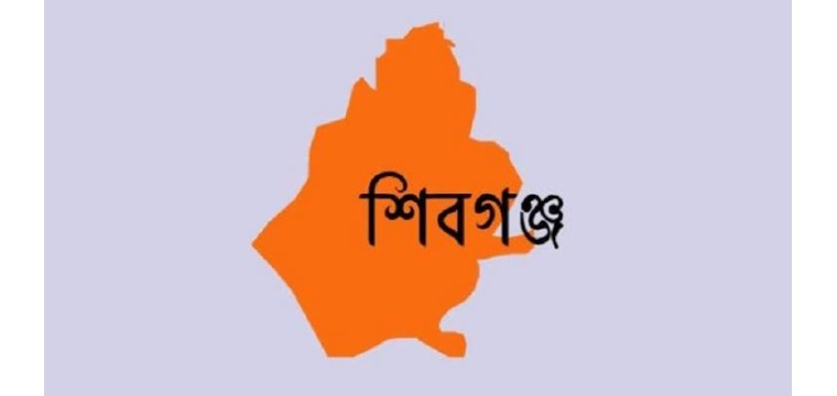 শিবগঞ্জে আট প্রিজাইডিং কর্মকর্তাকে অব্যাহতি