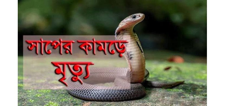 গোমস্তাপুরে ঘুমন্ত অবস্থায় সাপের কামড়ে যুবকের মৃত্যু