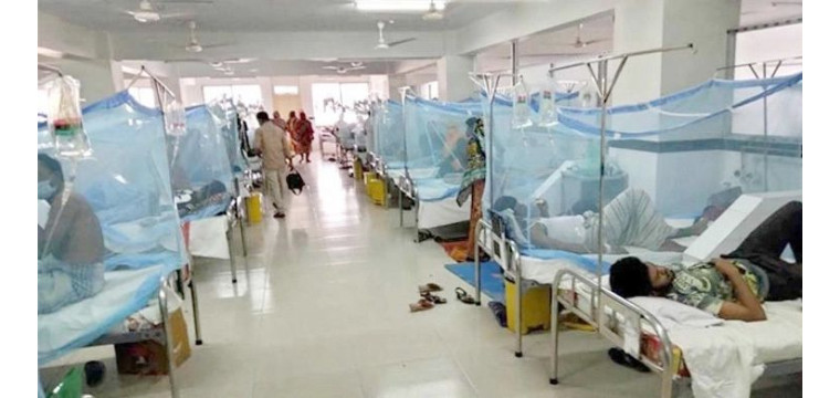 ডেঙ্গুতে দুইজনের মৃত্যু, হাসপাতালে ভর্তি ১২১৮