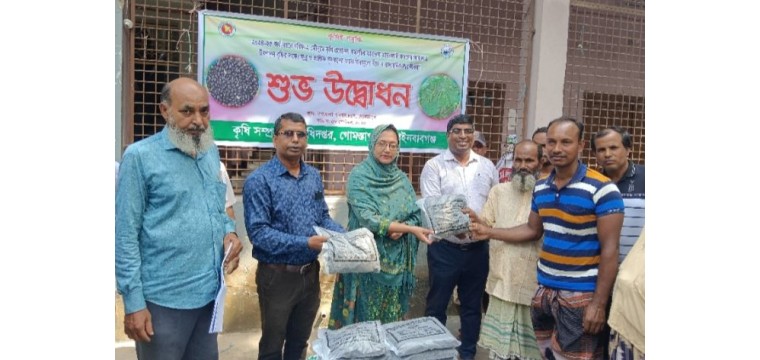 গোমস্তাপুরে বিনামূল্যে কৃষকের মাঝে মাসকলাই এর বীজ ও সার বিতরণ 