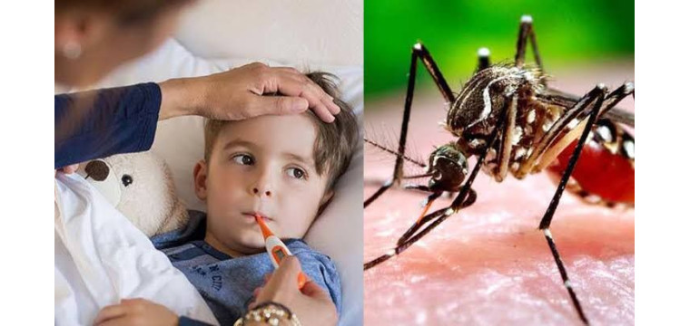 চাঁপাইনবাবগঞ্জে ৪ ডেঙ্গুজ্বরে আক্রান্ত