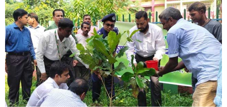 চাঁপাইনবাবগঞ্জে প্রকৃতি ও জীবন ক্লাবের বৃক্ষরোপন