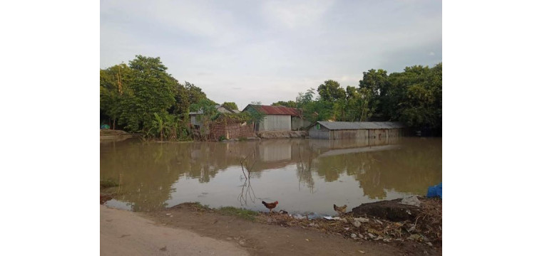 চাঁপাইনবাবগঞ্জে বন্যায় পানিবন্দ চরাঞ্চলের ৯ হাজার মানুষ