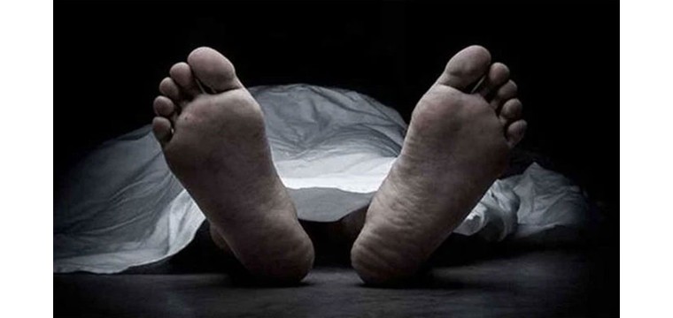 শিবগঞ্জে গাছ চাপায় শ্রমিক নিহত
