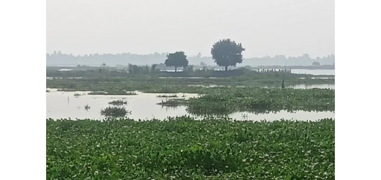 বিলসূতির বিল : জীবন-জীবিকা যেখানে থমকে গেছে 