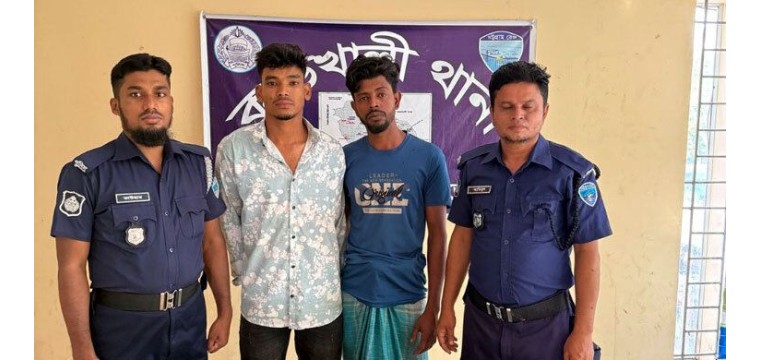 ভারত থেকে আনা ১১ গরুসহ আটক ২