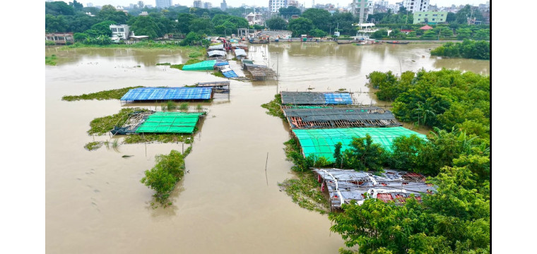 টানা ভারি বর্ষণে রাজশাহীতে পদ্মার পানি বিপদসীমার কাছাকাছি