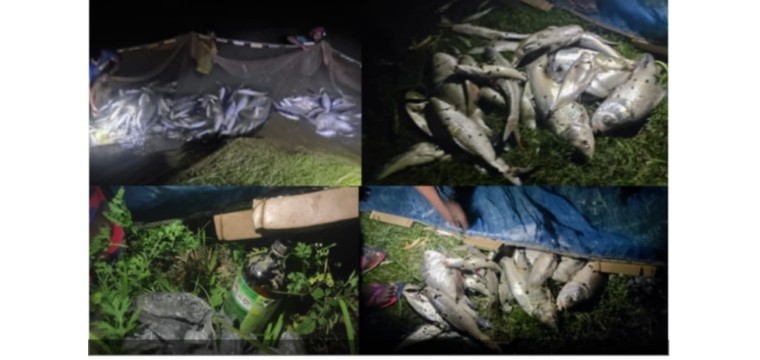 চারঘাটে মৎস্যচাষের পুকুরে বিষ প্রয়োগ, ২৫ লাখ টাকার ক্ষতির অভিযোগ