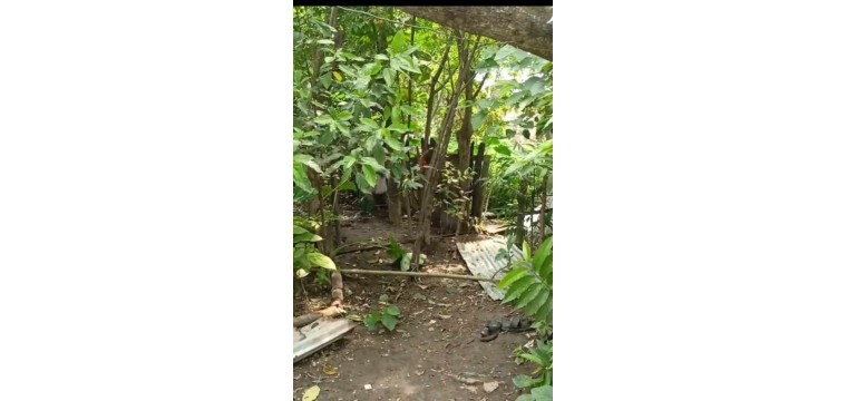 গোমস্তাপুরে পূর্ব শত্রুতার জেরে বেড়া ভাংচুর এবং গাছ কেটে ফেলা অতঃপর নিরাপত্তা চেয়ে থানায় জিডি
