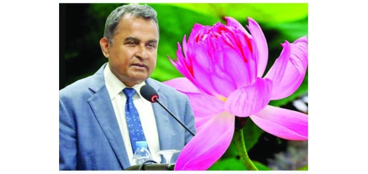 লুটের টাকায় নতুন ঠিকানায় কামাল