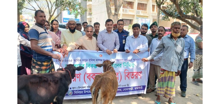 গোদাগাড়ীতে বিকল্প জীবিকার জন্য ১৫ জেলে পেলেন বকনা বাছুর