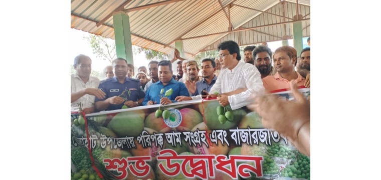 ভোলাহাটে আম ফাউন্ডেশনের আম বাজারজাতকরণের শুভ উদ্বোধন