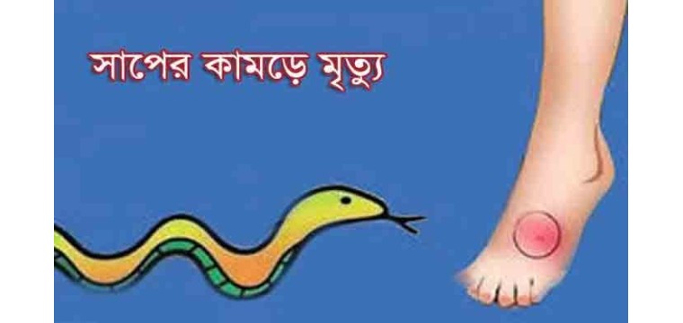 ভোলাহাটে বেড়েছে সাপের উপদ্রব, একই দিনে এক এলাকাতে মৃত্যু ২ জনের