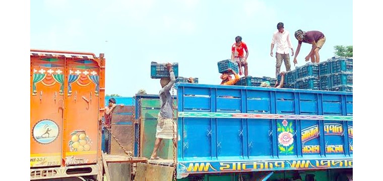 সোনামসজিদ স্থলবন্দর দিয়ে টমেটো আমদানি