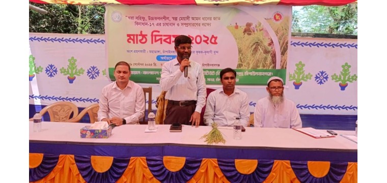 চাঁপাইনবাবগঞ্জে বিনাধান-১৭ সম্প্রসারণে মাঠ দিবস অনুষ্ঠিত 