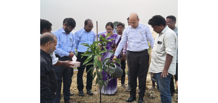 চাঁপাইনবাবগঞ্জে বিএমডিএ’র বৃক্ষরোপণ কর্মসূচির উদ্বোধন, ৫ বছরে ২৭ লাখ গাছ লাগানোর পরিকল্পনা